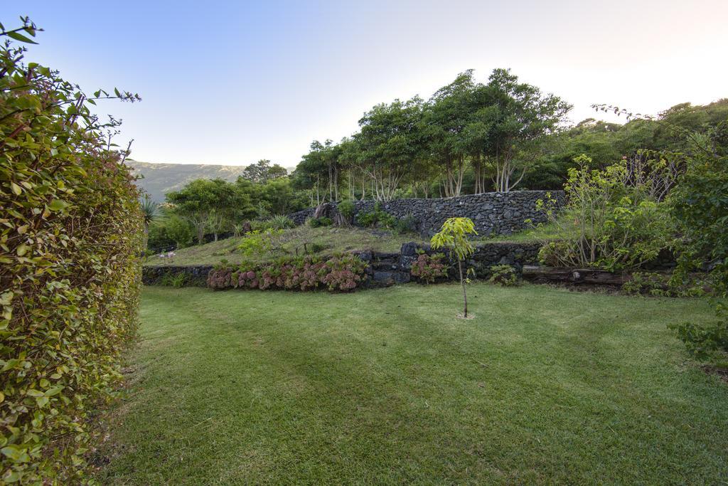 Casas De Campo Housesinpico Prainha  Ngoại thất bức ảnh