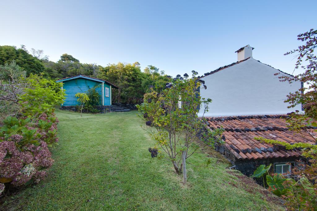 Casas De Campo Housesinpico Prainha  Ngoại thất bức ảnh